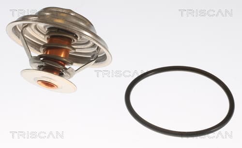 Termostat från TRISCAN