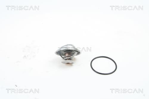 Termostat från TRISCAN