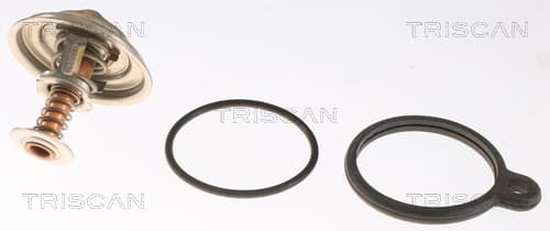 Termostat från TRISCAN