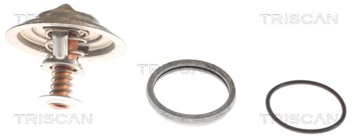 Termostat från TRISCAN