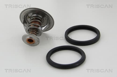 Termostat från TRISCAN