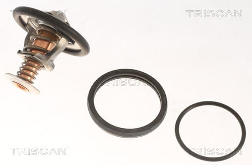 Termostat från TRISCAN