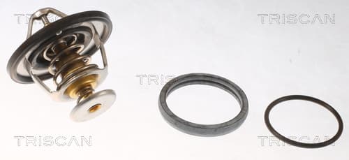 Termostat från TRISCAN