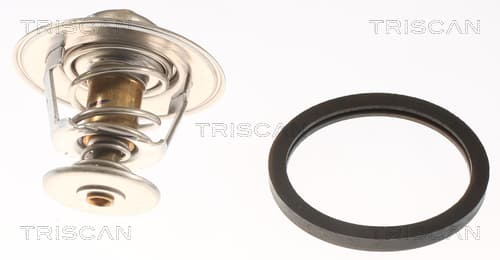 Termostat från TRISCAN