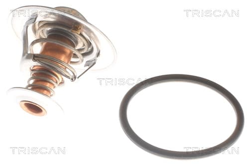 Termostat från TRISCAN