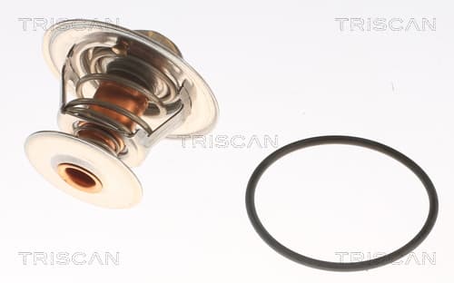 Termostat från TRISCAN