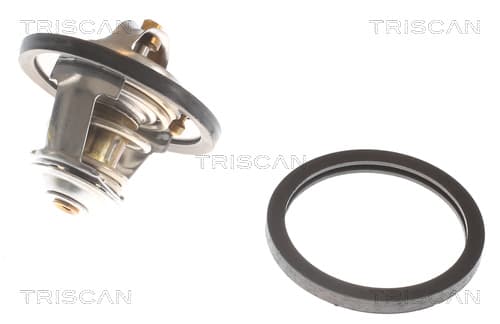 Termostat från TRISCAN