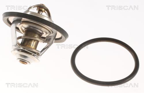 Termostat från TRISCAN