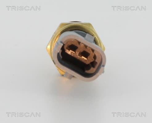 Temperatursensor från TRISCAN