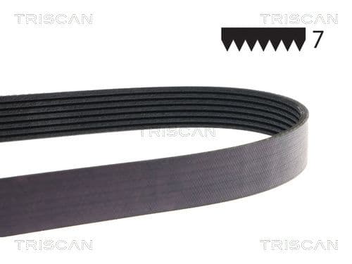 Fläktrem från TRISCAN