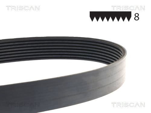 Fläktrem från TRISCAN
