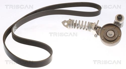 Micro-v remsät från TRISCAN