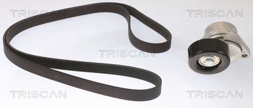 Micro-v remsät från TRISCAN