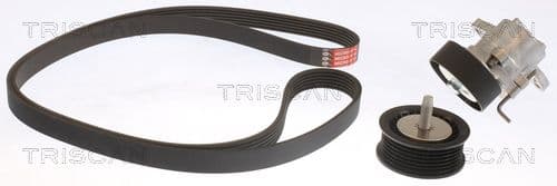 Micro-v remsät från TRISCAN