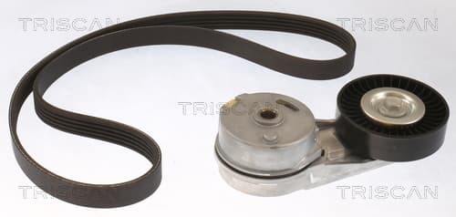 Micro-v remsät från TRISCAN