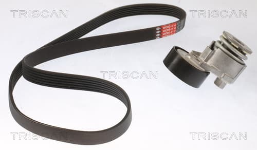 Micro-v remsät från TRISCAN