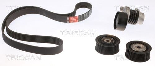 Micro-v remsät från TRISCAN