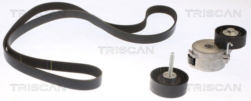 Micro-v remsät från TRISCAN