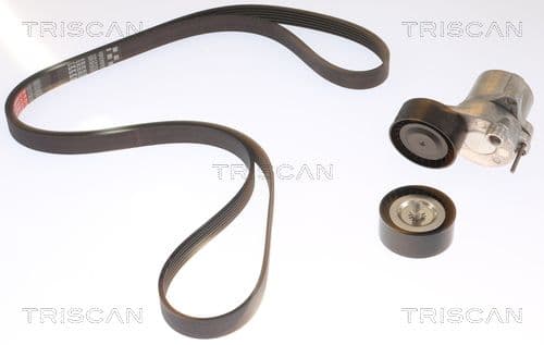 Micro-v remsät från TRISCAN