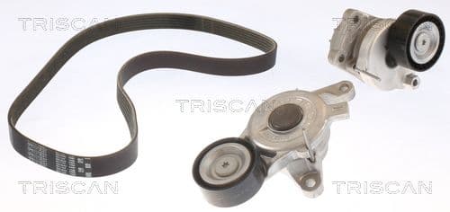 Micro-v remsät från TRISCAN