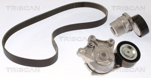 Micro-v remsät från TRISCAN