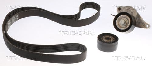 Micro-v remsät från TRISCAN
