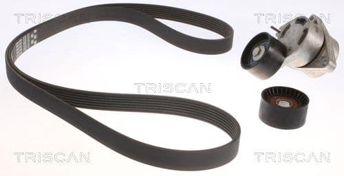 Micro-v remsät från TRISCAN
