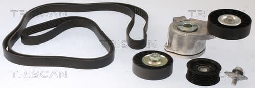 Micro-v remsät från TRISCAN