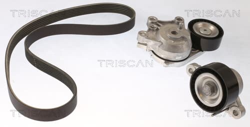 Micro-v remsät från TRISCAN