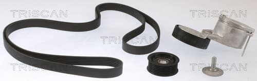 Micro-v remsät från TRISCAN