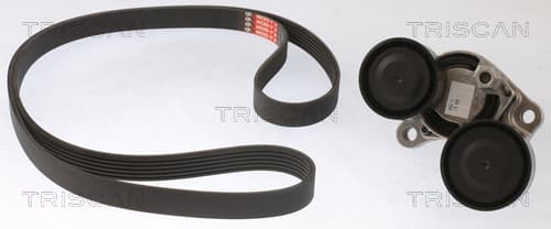 Micro-v remsät från TRISCAN