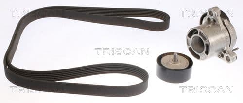 Micro-v remsät från TRISCAN