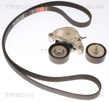 Micro-v remsät från TRISCAN