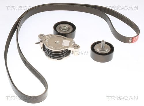Micro-v remsät från TRISCAN