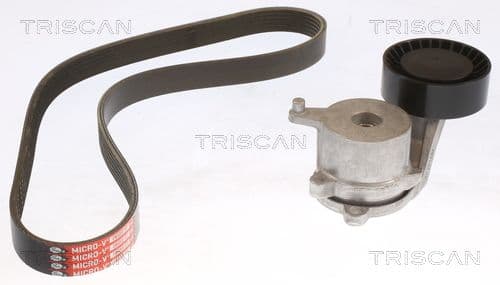 Micro-v remsät från TRISCAN