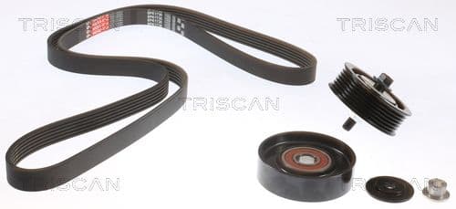 Micro-v remsät från TRISCAN