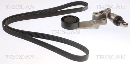 Micro-v remsät från TRISCAN