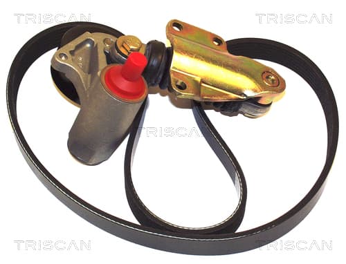 Micro-v remsät från TRISCAN
