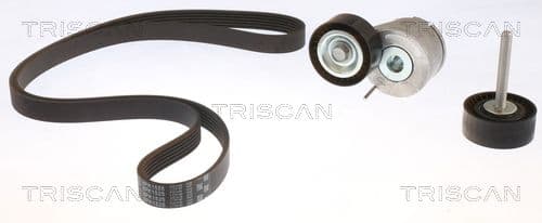 Micro-v remsät från TRISCAN