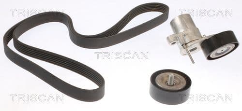 Micro-v remsät från TRISCAN