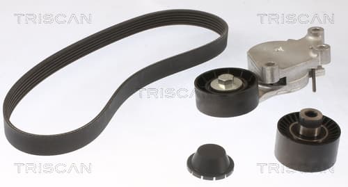 Micro-v remsät från TRISCAN