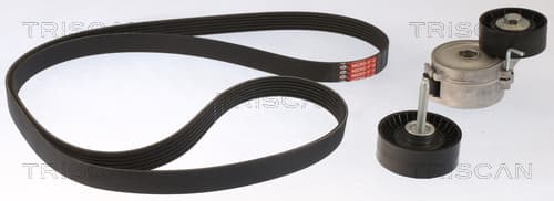 Micro-v remsät från TRISCAN