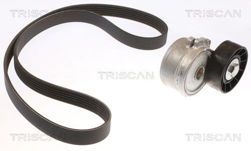 Micro-v remsät från TRISCAN