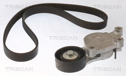 Micro-v remsät från TRISCAN