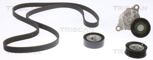 Micro-v remsät från TRISCAN