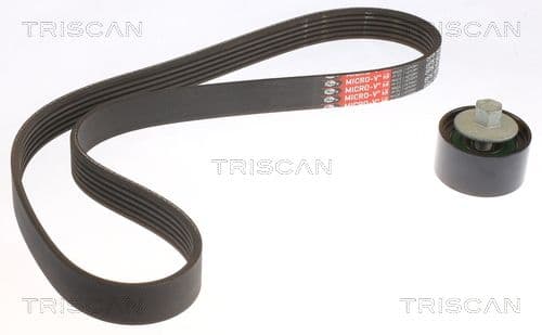 Micro-v remsät från TRISCAN