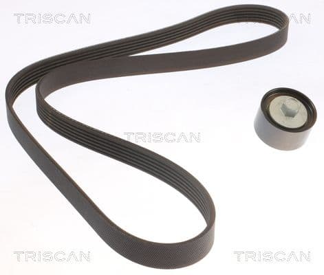 Micro-v remsät från TRISCAN