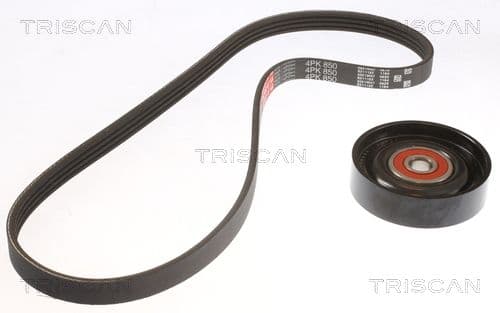 Micro-v remsät från TRISCAN
