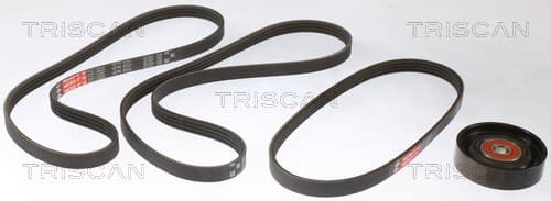 Micro-v remsät från TRISCAN