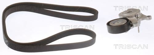 Micro-v remsät från TRISCAN